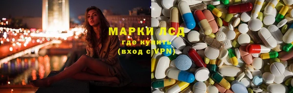 apvp Ельня