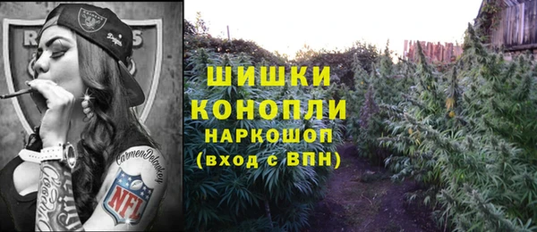 apvp Ельня
