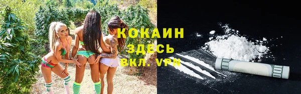 apvp Ельня