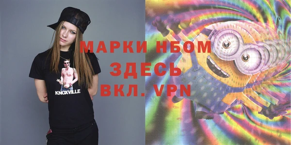 apvp Ельня
