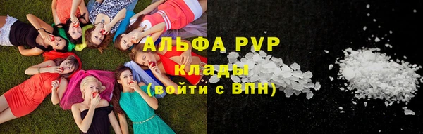apvp Ельня
