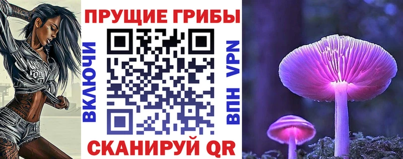 Купить закладки  Москва  Псилоцибиновые грибы Magic Shrooms 